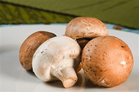 All About the Cremini Mushroom - Minneopa Orchards