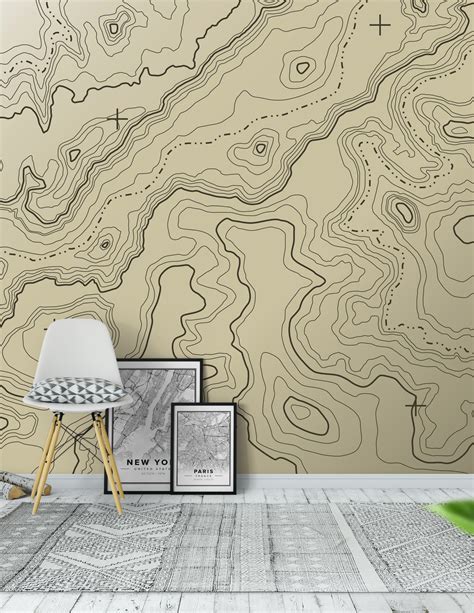 Wall mural Topographical map | Photo wallpaper | Height - Happywall