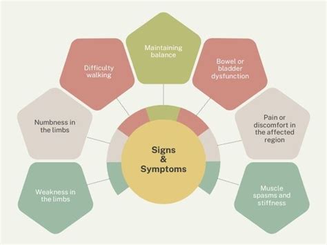 Myelopathy: Symptoms,Types, Causes and Treatments - Dr Deepak Agrawal