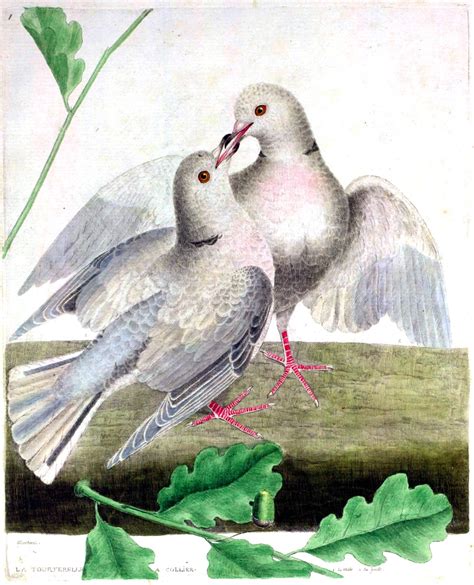 Doves - Doves Fan Art (31210542) - Fanpop