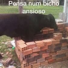 Pensa Num Bicho Ansioso Meme