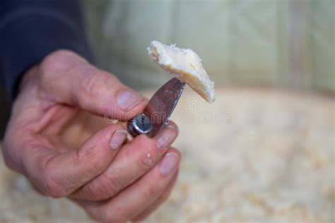 parmesan cheese samples  months aged cheese stock photo image