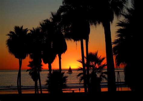 » Enjoy a Venice Sunset!