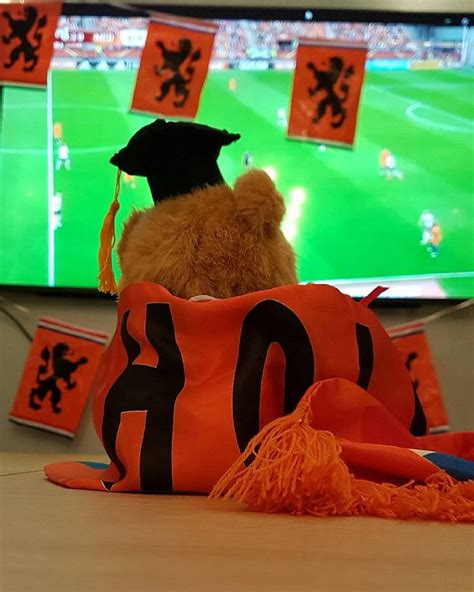 Ook Professor Bear is er klaar voor hup Leeuwinnen! Professor Bear is ...