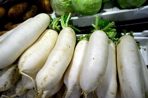 Daikon Free Stock Photo - Public Domain Pictures