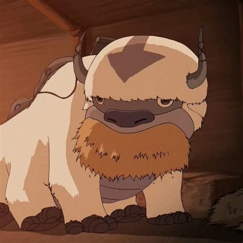 appa icon appa avatar pfp perugia italia animated