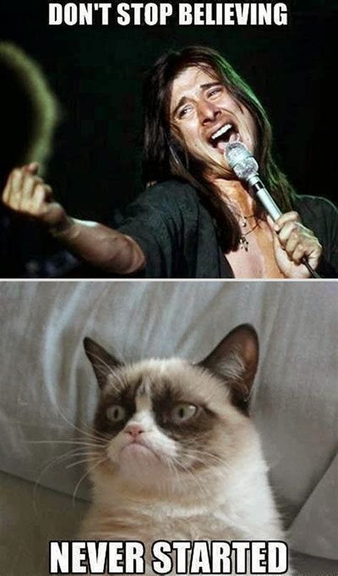 BLOG DEL MALDAD: Memes del Grumpy Cat (gato enojado)