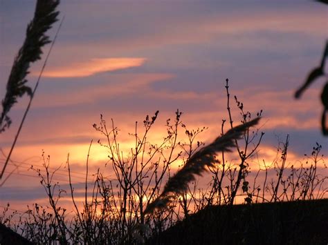 Elevation of Gedney Hill, Spalding PE12, UK - Topographic Map