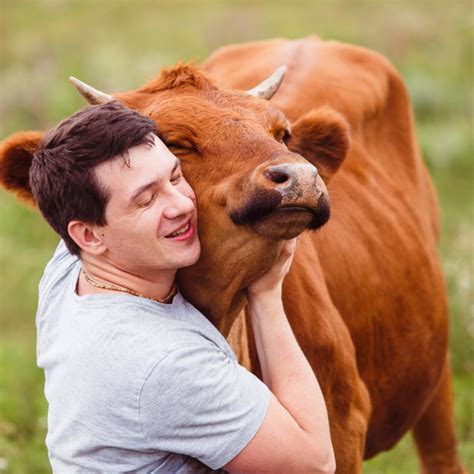 Can Dogs Get Diarrhea After Their Vaccines? A Vet Responds - PetHelpful