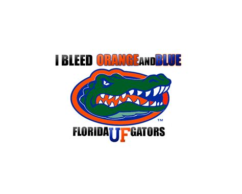 Gator Country by ILLuZioNx7 on DeviantArt