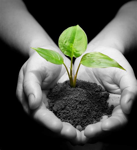 le changement grace au coaching laure voisin coach