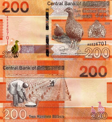 5 things you should know about danfo bus – Artofit