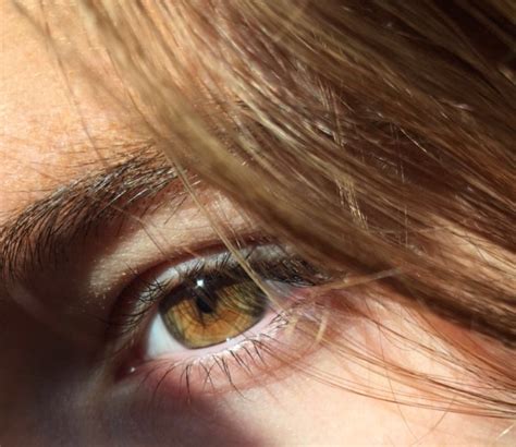 hazel eyes brown hair color analysis  isabel baldwin blog