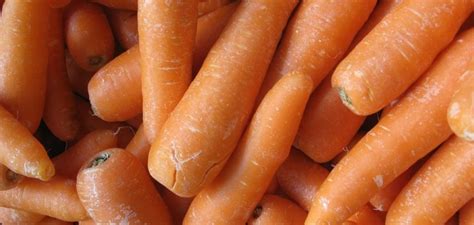 How Many Calories In 10 Baby Carrots | Food Fact | Cooking To A T