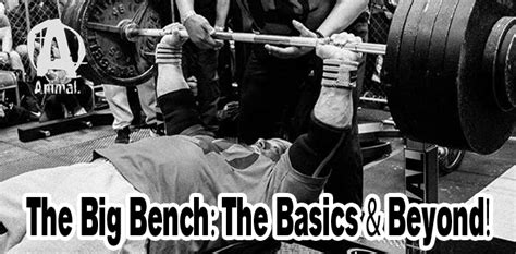 big bench basics