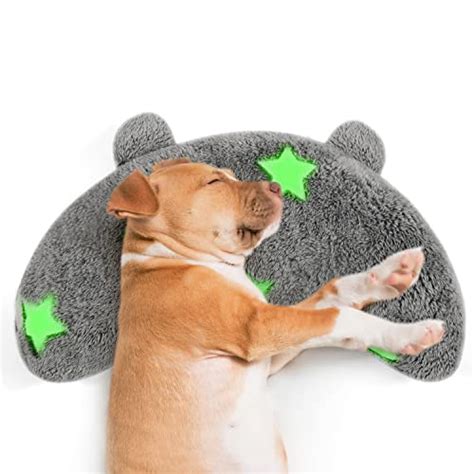 Dog Pillow – The 15 best products compared - Wild Explained