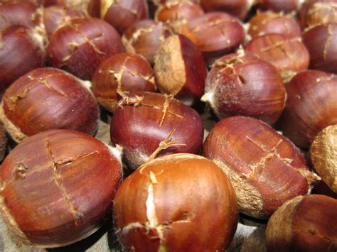 Chestnut Roasting Tutorial | Roasting, Roasted chestnuts, Food gifts