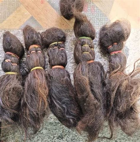indian human hair  piece kanpur id