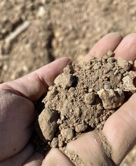 soil analysis results sagebrush solar