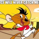 Speedy Gonzales Meme Generator - Imgflip