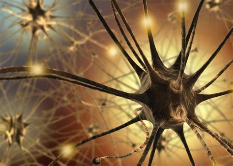 neuro visionary support cromwell