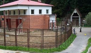 Каунасский зоопарк | ЛИТВА. Все о Литве