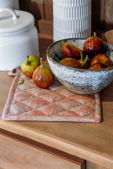 fig tree in a pot