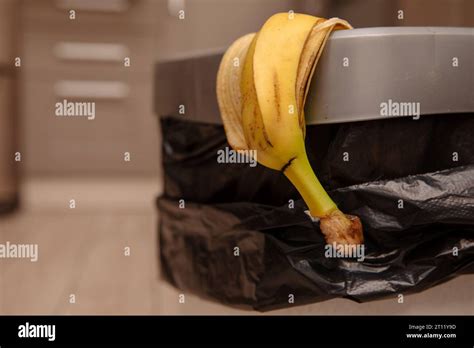 banana peel in a trash bin Stock Photo - Alamy
