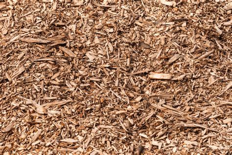 Cypress Mulch - Natural – GetMulch.com