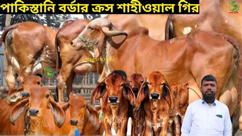 jalal kaka mane ankmn brahma sahioozal gir gaveer kalekshn seemit dame