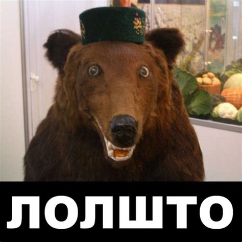 ЛОЛШТО — Библиотека мемов