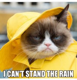 Rain Go Away Funny Quotes. QuotesGram