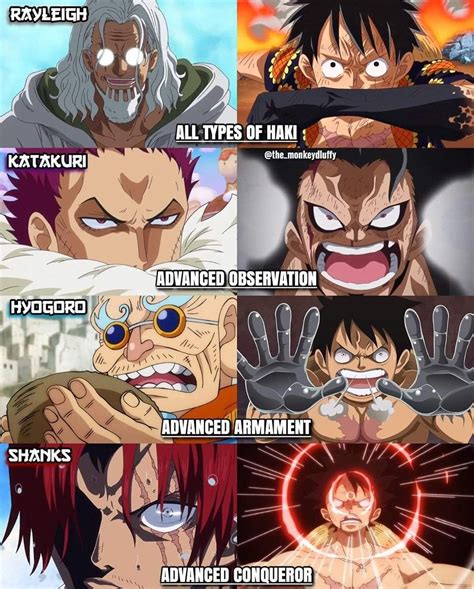 One Piece Anime: The Many Expressions | Haki in one piece, Types of ...
