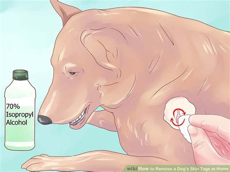 how to remove dog skin tags