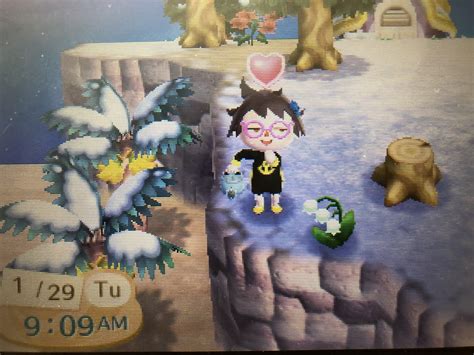 My first Jacob’s Ladder! so happy : r/AnimalCrossing