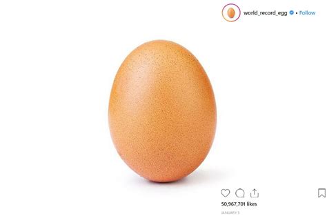 world record egg medium