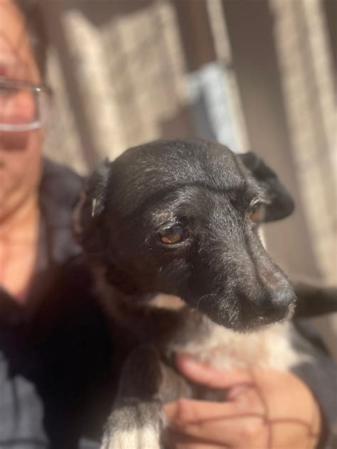 Local records explain how Robert Lee Texas got its unique name 5