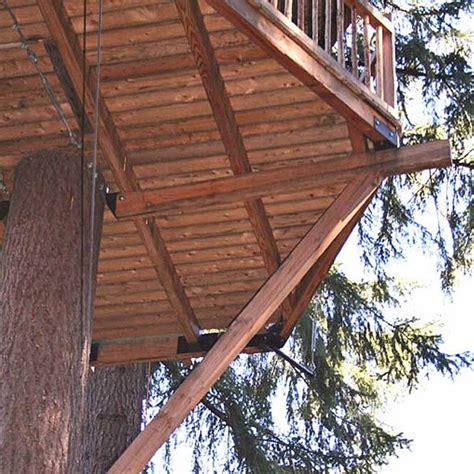 8 Tips for Building a Treehouse | Family Handyman