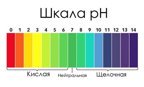 Что такое ph простыми словами для растений | Блог DzagiGrow