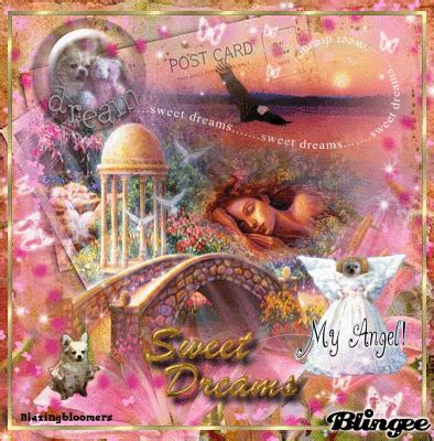 sweet dreams   angel picture  blingeecom
