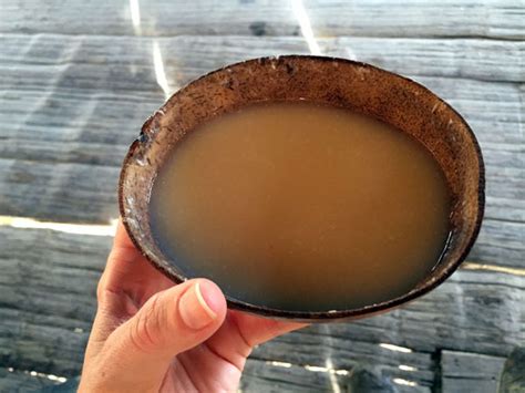 How the Ecuadorian Quechua Make Chicha: A Traditional Homemade Drink ...