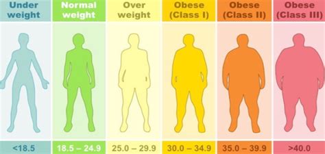 bmi beregner beregn hvor hoj dit bmi er