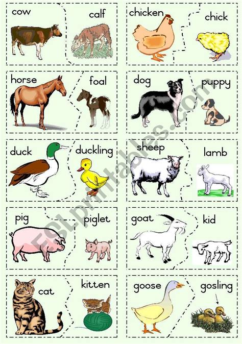 animals and their young clipart 10 free Cliparts | Download images on ...