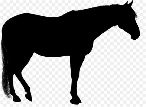 Free Show Horse Silhouette, Download Free Show Horse Silhouette png ...