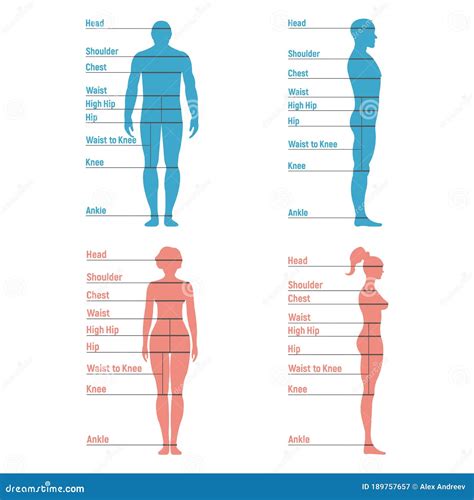 Male Vs Female Size Chart at Matthew Mendelsohn blog