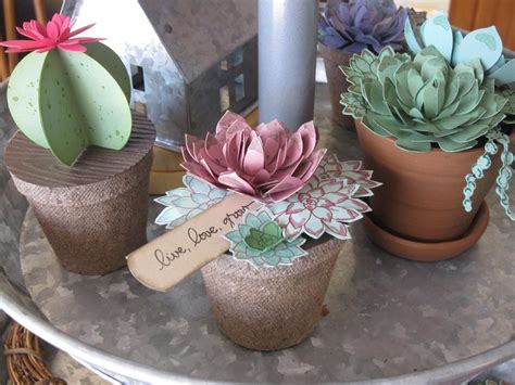PaperBlackbird: Indoor Cactus Patch.