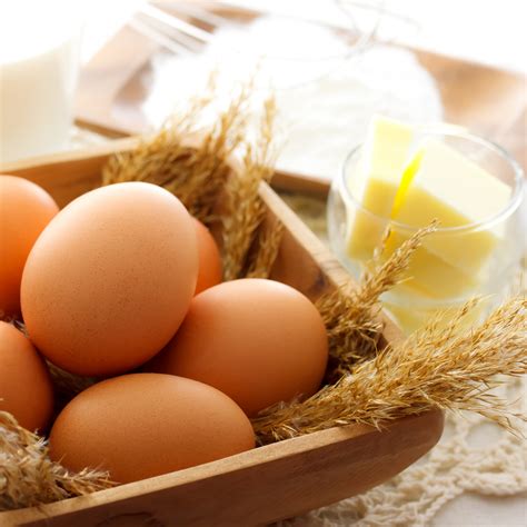 cow truck munroe dairy 5