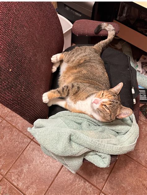 A surprising lost package was recovered at the ups boerne hub