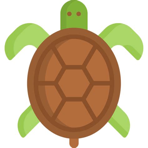 Turtle Special Flat icon