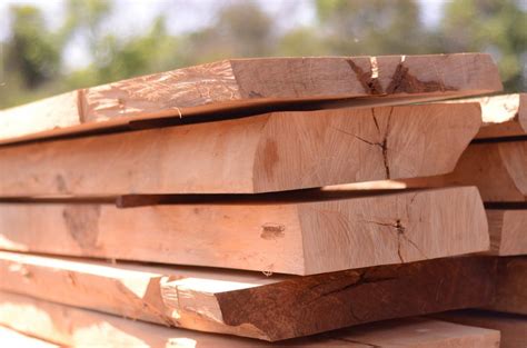 Harvesting Valuable Hardwoods | Washingtonish.com